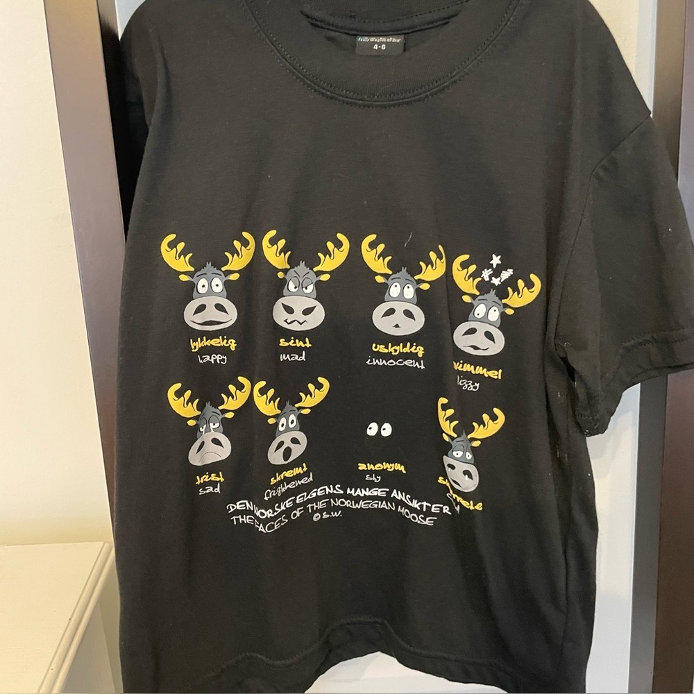 Kids t-shirt from Norway. EUC. Worn once and washed. Size 4-6